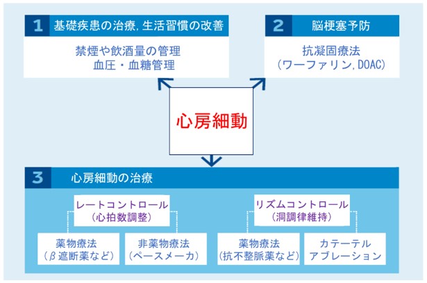 不整脈治療について｜社会福祉法人 同愛記念病院